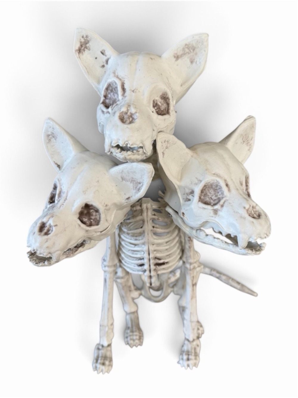 3 HEADED SKELETON ZOMBIE DOGS CERBERUS CHIHUAHUA HALLOWEEN EDUCATIONAL PROP